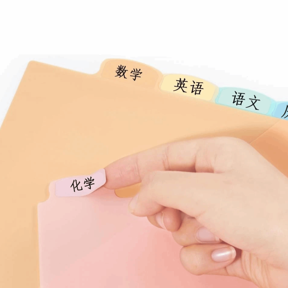 8 pcs A4 Pastel Binder Divider - Tab Divider A4 recension och pris
